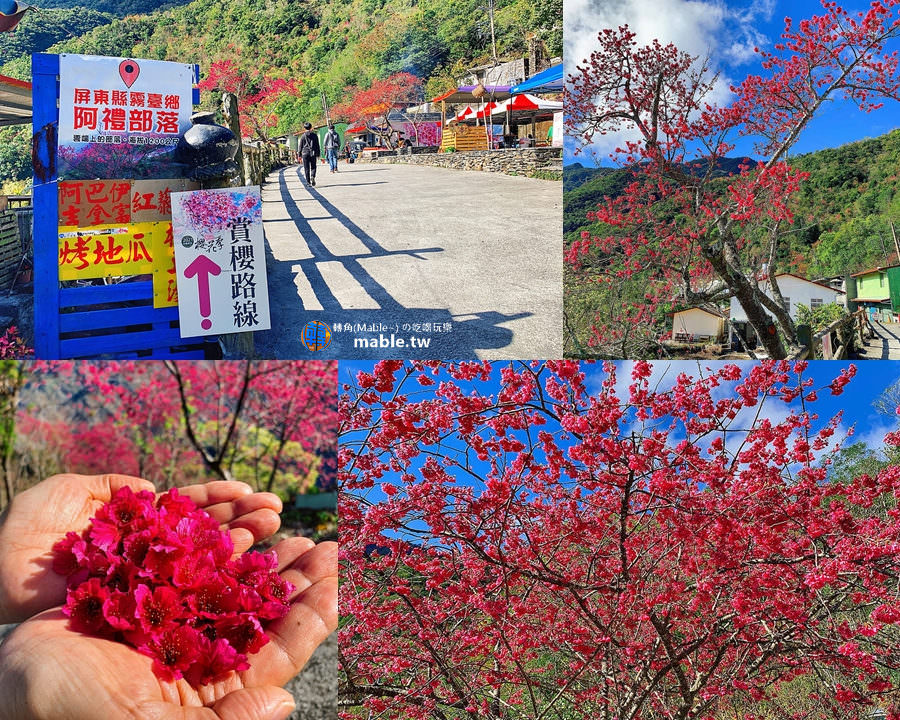 屏東景點┃霧台一日遊:櫻花王、神山愛玉、小米甜甜圈、原住民美食,入山需證件管制站登記 - 第96張圖 屏東霧台阿禮部落