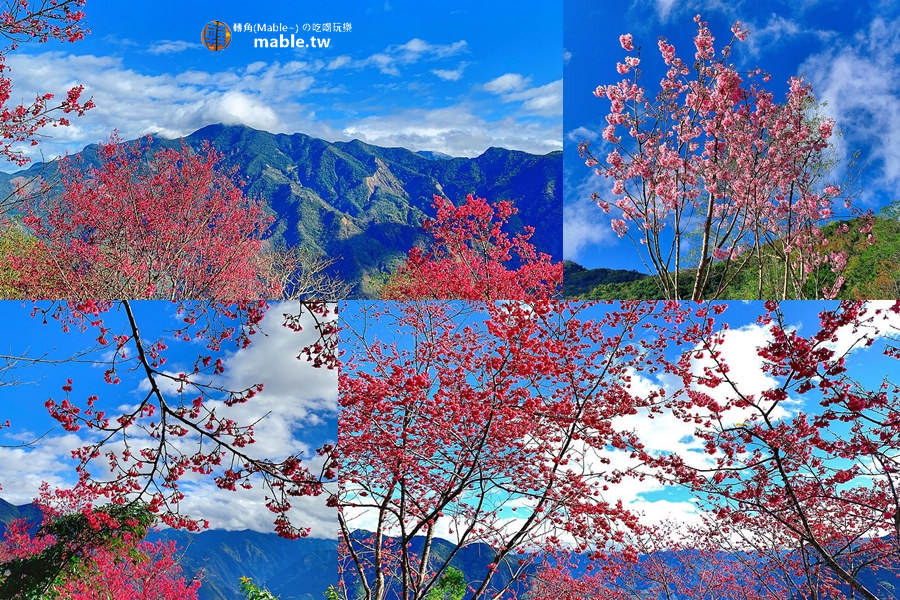 屏東景點┃霧台一日遊:櫻花王、神山愛玉、小米甜甜圈、原住民美食,入山需證件管制站登記 - 第97張圖 屏東霧台阿禮部落